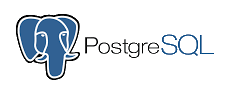 postgres image